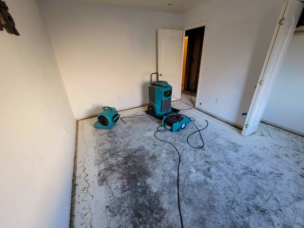 Best Water damage restoration near me  in Absecon Highlands, NJ