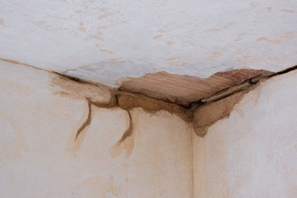 Best Water damage restoration near me  in Absecon Highlands, NJ